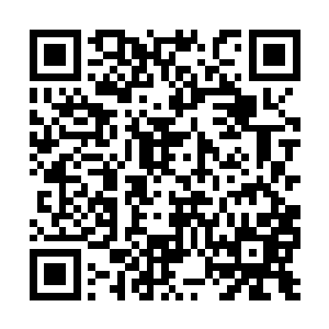 党组书记沈加林彻底的失去了在县常委里的表决权二维码生成