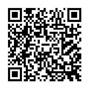 全世界一半的人每天都会做的事情在这妞看来是人生污点二维码生成