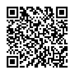全力催动力量进行防御的楚旬等人也如同海浪下的礁石一样二维码生成