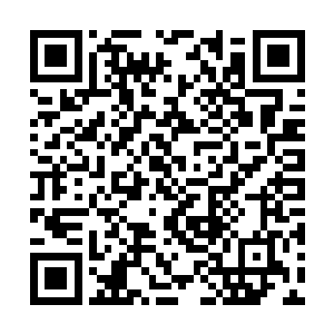 全国的观影人次甚至还不能支持其快速扩张的事实二维码生成