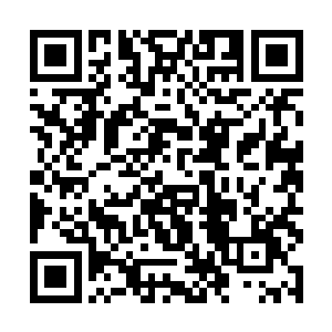 全场……所有人……凝神屏息……看着屏幕里的苏落二维码生成