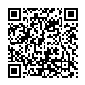 全场的人都闻到了一股类似地狱血池那腐朽血腥的味道二维码生成