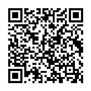 全市公检法系统的信访举报工作是他的主管工作之一二维码生成