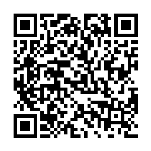 全数虎视眈眈地看着前方一张椅子上懒散坐着的年轻人二维码生成