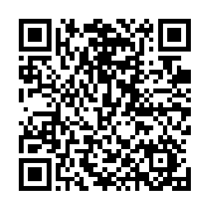 全球有130个国家和数十亿计的观众收看颁奖典礼的电视转播二维码生成