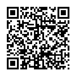 全身上下散发出一种华夏九从未感受过的奇异气息二维码生成