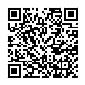 全身的角质物装就像是一层厚厚的盔甲一般覆盖着他的命门二维码生成