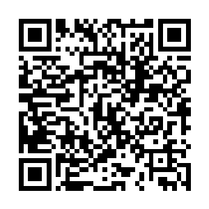 全身赤果的苏落直接被一阵风送进那特大号的药鼎之内二维码生成