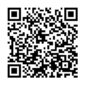 全部悄无声息的跃上了停在小鸡号航母周围的快艇二维码生成