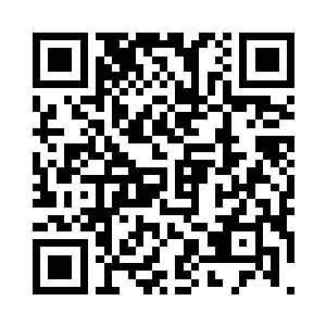 全部都是由粗壮的木藤悬挂着的秋千代替的二维码生成