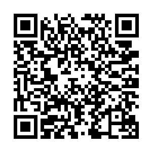 全部都是靠杨晨这个修士直接采用炼器方法作弊而来的二维码生成