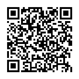 全部集中在小贼猫那眉心的天机族文字火焰之上二维码生成