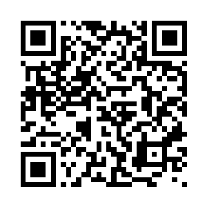 全部靠的是大家一章几分钱的支持二维码生成