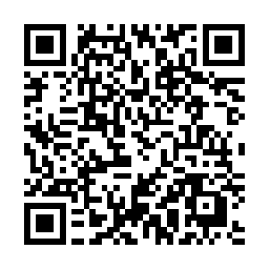 全都用一种敬畏的眼神望着眼前这一头身材高大的金色巨狼二维码生成