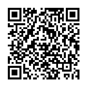 全都聚集在审讯室的一群人顿时朝着慕容仙儿蜂拥而去二维码生成