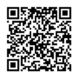 全面了解东南亚经济政治人文风情的老杨说自己建议二维码生成