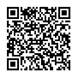 八个千年豪门还有六个巨商与两个宗教的教宗家族二维码生成