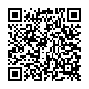 八千战士正紧张的依托这七十门小型火炮构筑简易阵地二维码生成