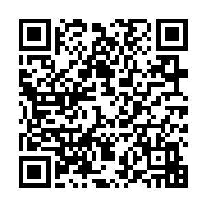 八只灵气巨蛇原本想要去抵挡武侯八阵所化的龙影虎翼二维码生成