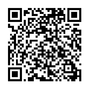 八大家族等大大小小的势力再次聚集在中央试炼场二维码生成