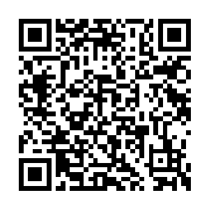 八小姐的意思是九小姐钟情于无父无母的陆天养二维码生成