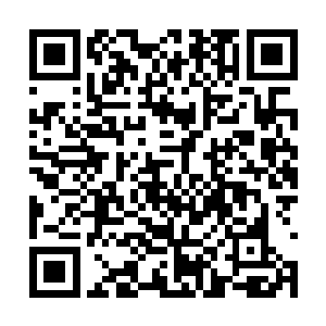 八岁后开始在城镇里的有钱人家里打短工维持生存二维码生成