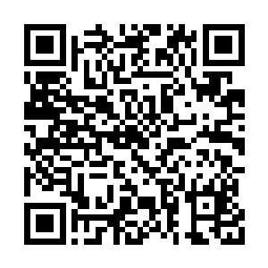 八戒怕是要等到第二次机会来临才有可能离开了二维码生成