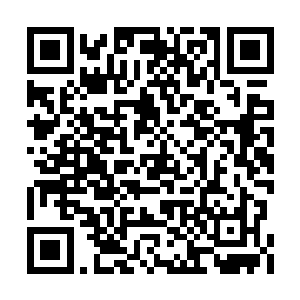 公主已经知道了唐将军为了她所做出来的牺牲了二维码生成