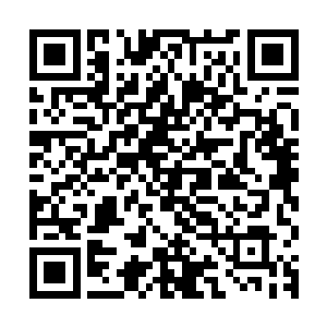 公园里鸟语花香风景优美的就和之前叶秋梁昊他们住的小区一样二维码生成