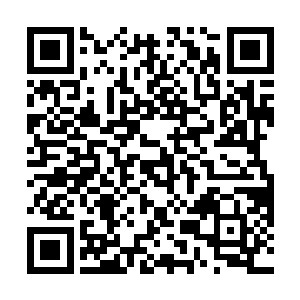 公堂原被告以及堂外的吃瓜群众没有一个不心悦诚服的二维码生成