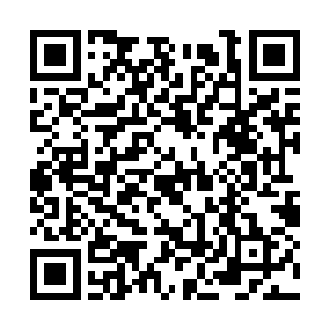 公孙启显然不是传道授业了一辈子的傅八岱的对手二维码生成