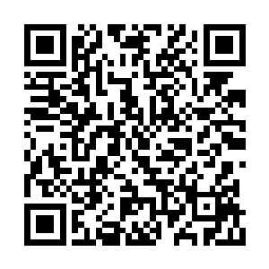 公安局的所有关于案子的信息都要汇总到小组来二维码生成