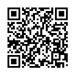 公路两旁的玉米地飞速的向后倒退着二维码生成