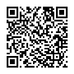 六个南荒元婴期修士就被那些三尺左右的蚊子追了上去二维码生成