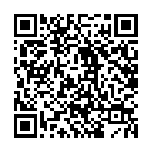 六公子并未想过报复……可是宝镜既给了他痊愈的希望二维码生成