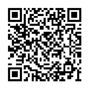 六名神殿武士身上都有很明显的梦境之神的祝福二维码生成