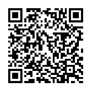 六大派却一直没有搞过类似比武争锋的大会――对于六大派而言二维码生成