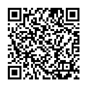 六殿下脸上丝毫没有因为韩风的出身而对韩风有所不屑二维码生成