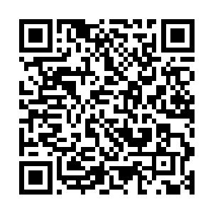 六道童子敢下定决心对妖僧南波出手背后就有夏侯家族的唆使二维码生成