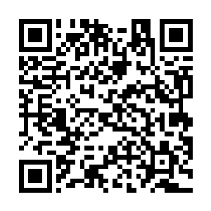 六鼎一阶的高手想要灭掉五鼎九阶的人实在是太简单了二维码生成