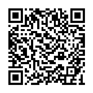 兰开斯特在好莱坞的霓虹灯之中再次找不着方向二维码生成