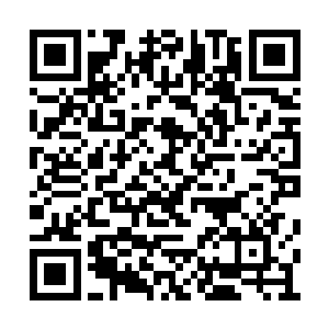 兰若不可能什么乱七八糟的东西都往月瑶面前送二维码生成