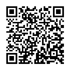 共计有被许以重金报酬的媒婆媒公十八人登了方家门二维码生成