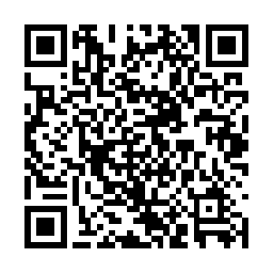 关于大东制药厂的项目一定要想尽一切办法去争取二维码生成