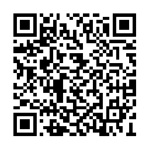 关于第三期电影力量交流活动及相关展映的申请二维码生成