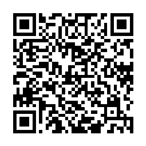 关于罗子强的背景介绍和两个武者打斗的场景全都删了二维码生成