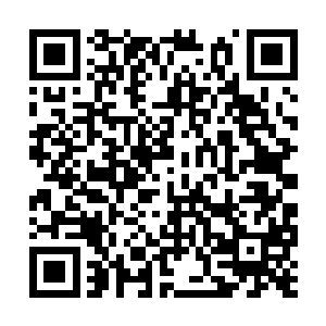 关于领主马文以及他带回的十一头金牛的所有事情二维码生成