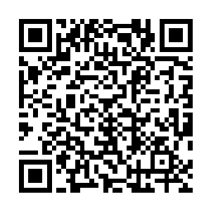 关浩暗中确定沈凡的确是真心实意的与他们五五分成之后二维码生成