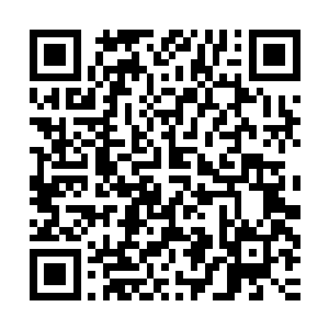 关键在于现在对方小心谨慎的只从单兵帐篷里面露出了一个枪管二维码生成