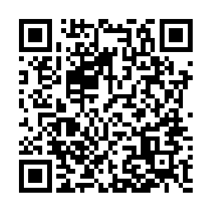 关键是不久前大家伙可是趁机把附近的商铺给洗劫了一遍二维码生成